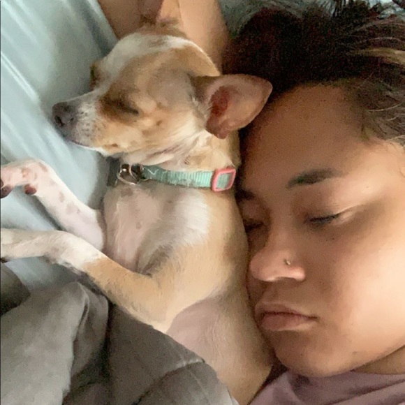 Meet your Posher, Zoë - Picture 4 of 8